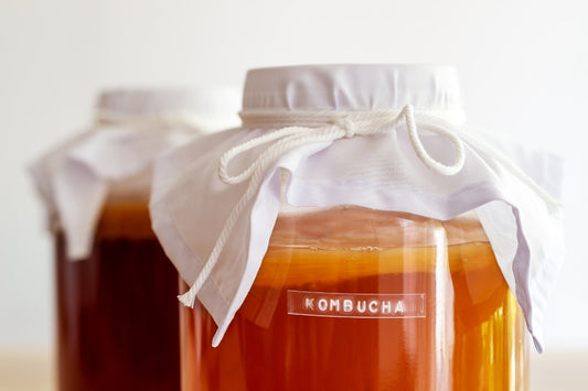 Pu Erh Tee Kombucha